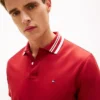 Regular Fit Jacquard Tipped Polo