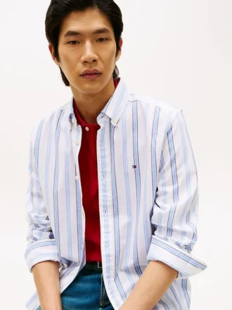 Regular Fit Stripe Stretch Oxford Shirt