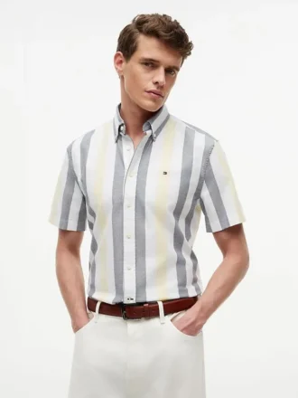 Regular Fit Striped Stretch Oxford Shirt