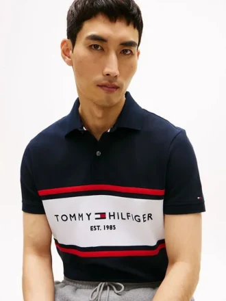 Regular Fit Tommy Logo Block Stripe Polo