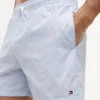 Script Monogram Striped 5″ Swim Trunk