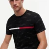 Signature Flag Stripe Logo T-Shirt Signature Flag Stripe Logo T-Shirt