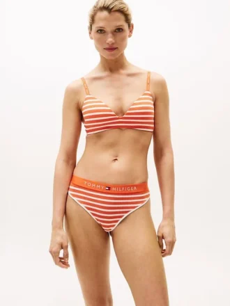Stripe Triangle Bra