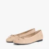 Suede Ballet Flat