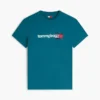 Tommy Jeans Logo T-Shirt