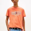 Tommy Jeans Wavy Flag Logo T-Shirt