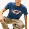 Tommy Jeans Wavy Flag Logo T-Shirt