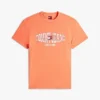 Tommy Jeans Wavy Flag Logo T-Shirt