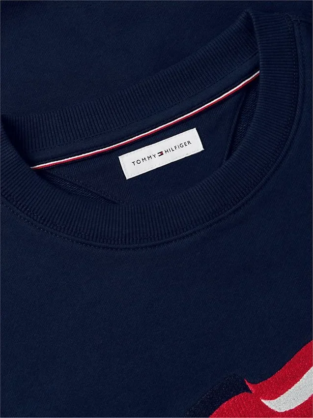Wavy Flag Logo Crewneck Sweatshirt Wavy Flag Logo Crewneck Sweatshirt